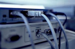 高度な画像解析技術で面積を測定