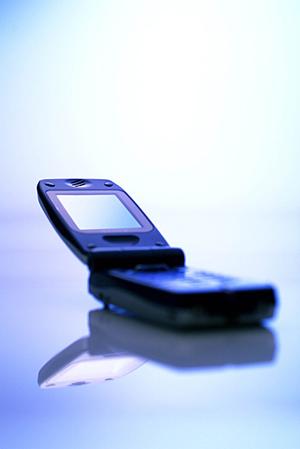 実例で学ぶ！SNS採用の成功事例と効果的な活用法